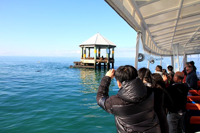 1.5hour Scenic and Wildlife luxury cruise - Price and value: what $53.79 buys you (and what it doesn’t)