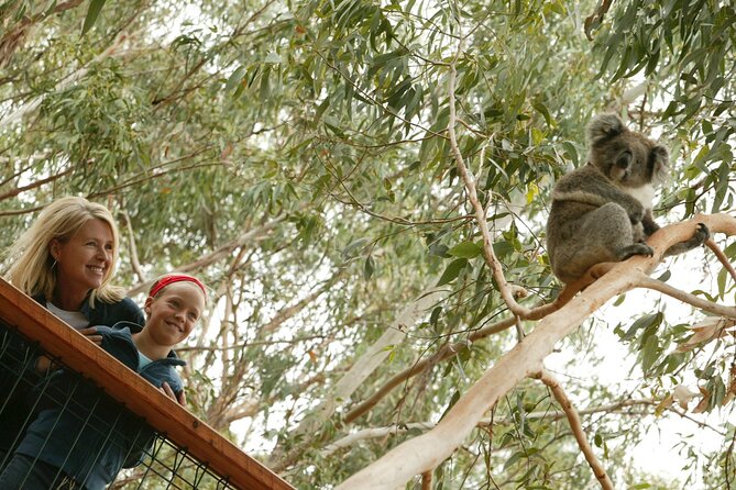 1 Day Exclusively Private Tour Of Phillip Island & The Penguin Parade - The one review you should respect: communication matters on private tours