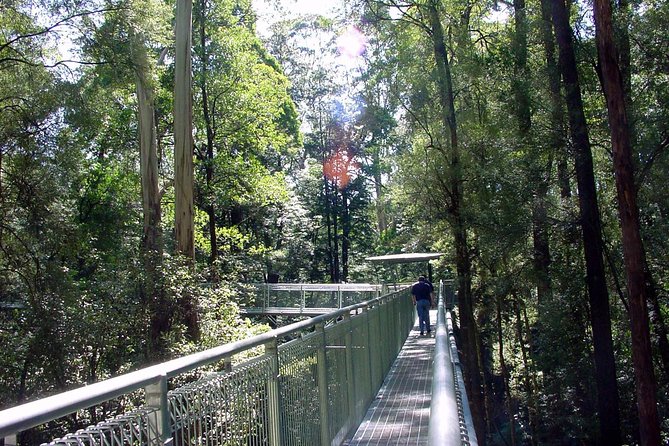 12 Apostles and Otway Fly Zipline Day Trip from Melbourne - Yatzies lunch stop: plan your own meals and take the garden break