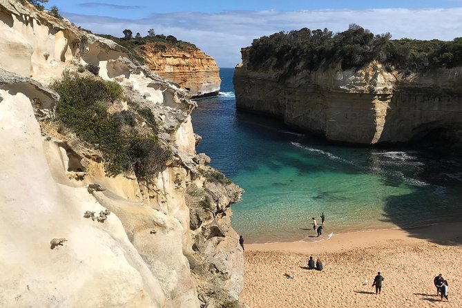 12 Apostles and Shipwreck Coast Express Private Tour - The Razorback: Limestone Views Without the Long Detour