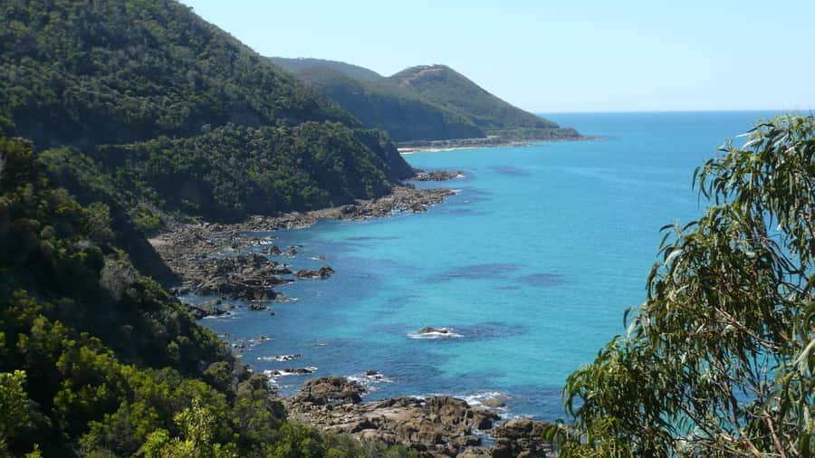 2 Day Great Ocean Road Small Group Tour - Great Otway National Park: Rainforest Gully Walk and Yabbie Chimneys
