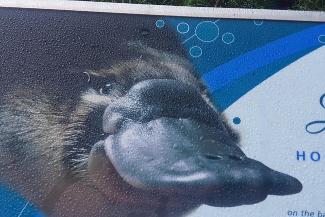 2 Day Great Ocean Road Tour and Platypus paddle - Morning start from Melbourne: what the early departure does for you