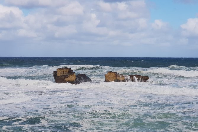 2 Day Great Ocean Road Tour and Platypus paddle - Forrest Brewing Company breakfast and the Otways nature rhythm