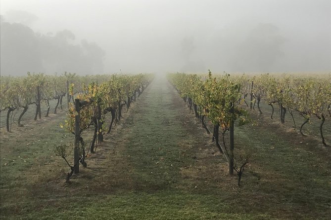 2-Day Yarra Valley Wine Tour with Luxury Vineyard Resort Stay - Price and Logistics: What You’re Paying For, and Where It Can Feel Off