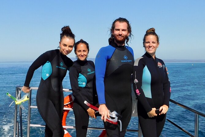 2 hour Seals & Seadragon Swim - Who should book this Seals & Seadragon swim?