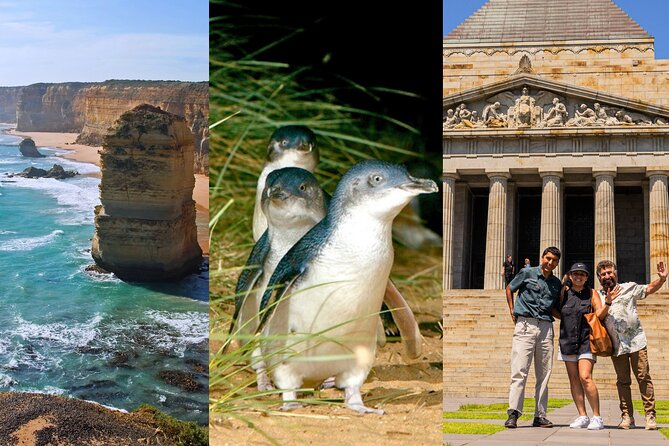 3 Day Combo: Great Ocean Road, Penguin Parade and FREE City Tour - Key highlights you’ll feel right away