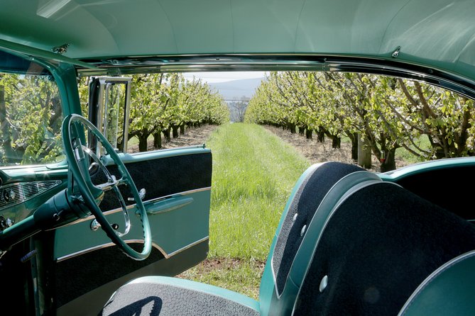 '56 Chevrolet 3-hr Melbourne Classic Car Private Tour (4 ppl) - Your 3 hours, your route: how the flexible itinerary really works