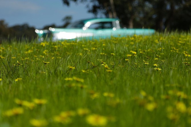 '56 Chevrolet 6-hr Yarra Valley Classic Car Private Tour (4 ppl) - Who this private Chevy Yarra Valley tour suits best