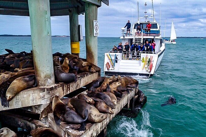 90 minute wildlife and scenic cruise - The Rip of Port Phillip Bay: why that rough-water reputation is part of the fun