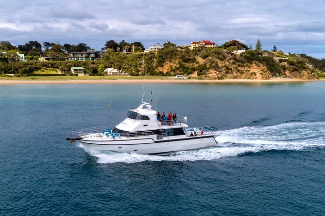90 minute wildlife and scenic cruise - Who this is best for (and who should adjust expectations)