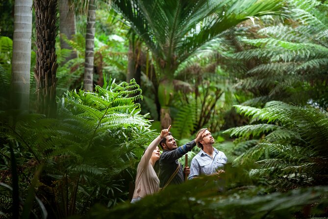 Aboriginal Heritage Walk - Royal Botanic Gardens Victoria, Melbourne Gardens - Key things to know before you go