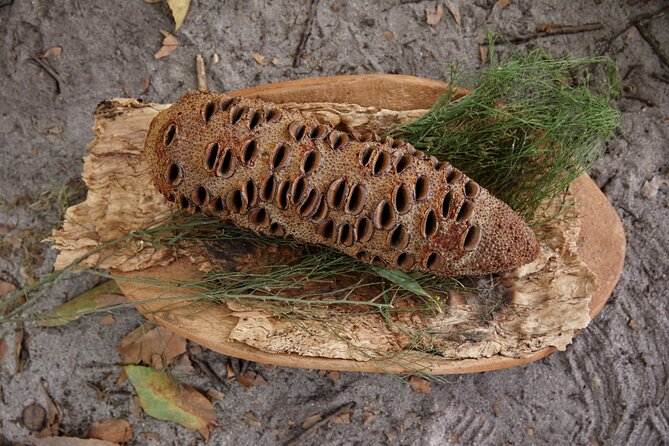 Aboriginal Heritage Walk - Royal Botanic Gardens Victoria, Melbourne Gardens - Lemon myrtle tea: the small included detail that keeps it comfortable