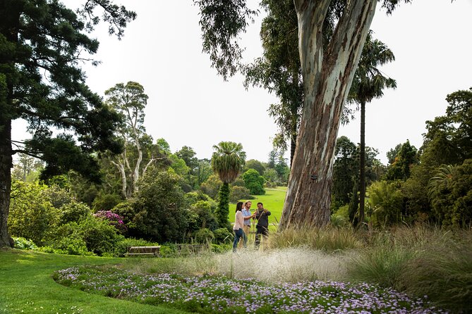 Aboriginal Heritage Walk - Royal Botanic Gardens Victoria, Melbourne Gardens - Who this tour suits (and who might prefer something else)