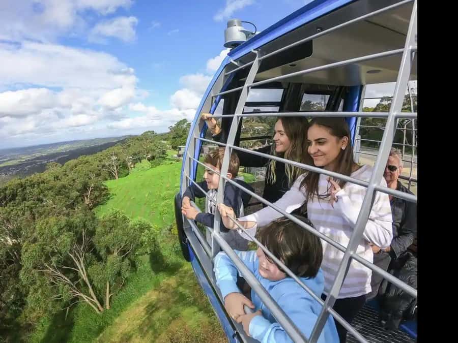 Arthurs Seat Eagle: Scenic Gondola Ride - Key things to know before you go