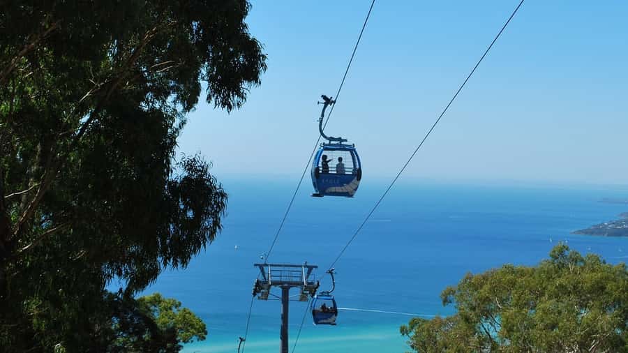 Arthurs Seat Eagle: Scenic Gondola Ride - Arthurs Seat Eagle: What makes this gondola ride special