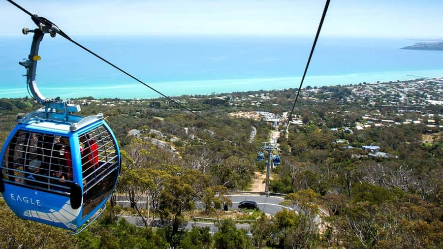 Arthurs Seat Eagle: Scenic Gondola Ride - The 15-minute gondola ride over Arthurs Seat State Park