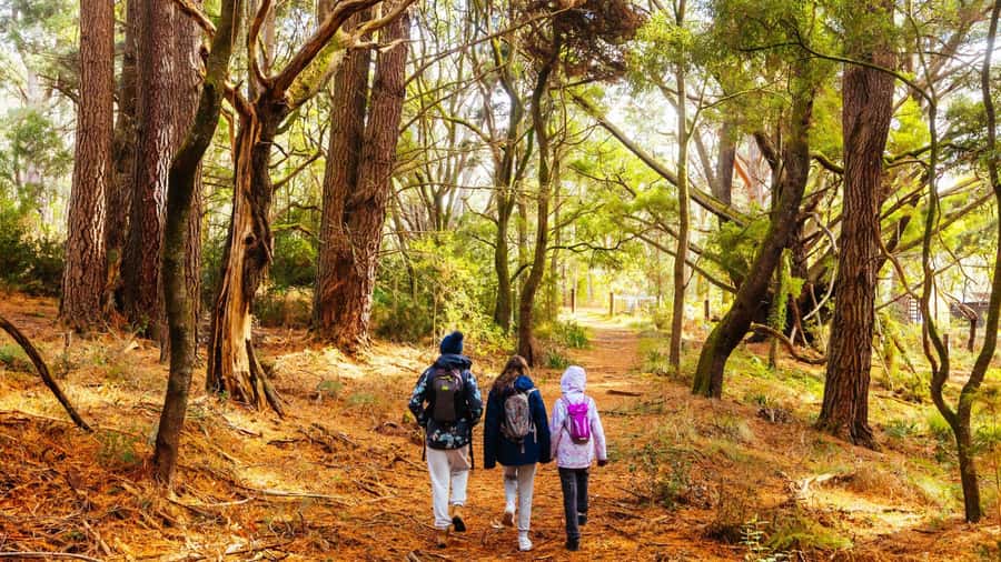 Best of Melbourne: Private Walking Tour with a Local - Flexible itinerary: tailoring Melbourne to your group