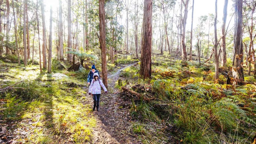 Best of Melbourne: Private Walking Tour with a Local - Price and what $48 per person buys you