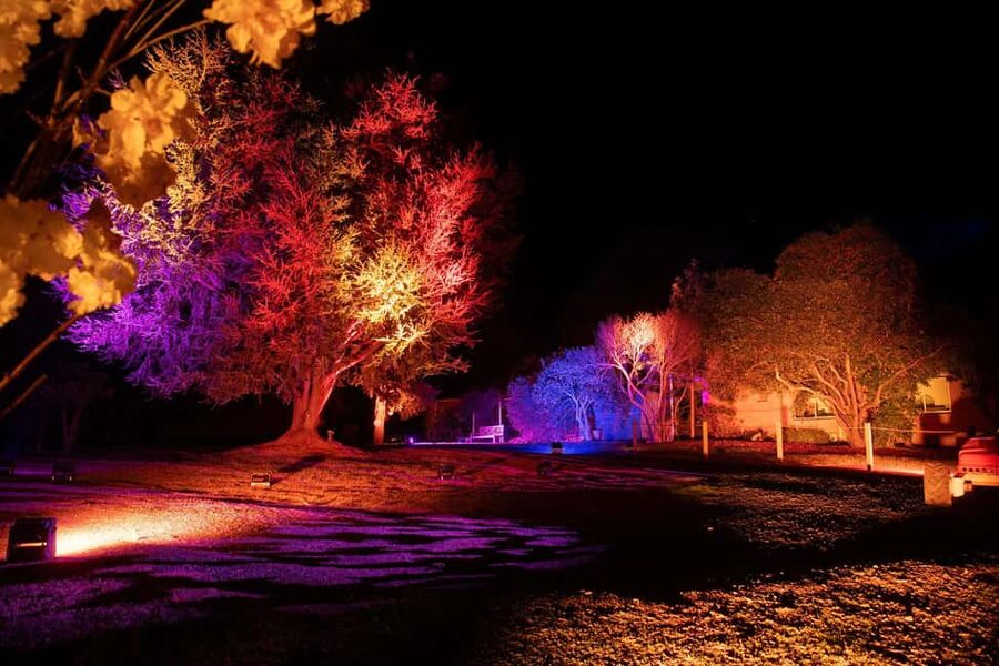 Blossom by Light at CherryHill - Families, lawn games, and kids activities: keeping the night moving