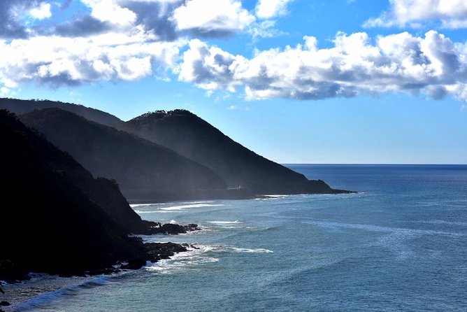 Boutique Great Ocean Road, wildlife and Rainforest Experience - An early start that actually pays off (6:45am)