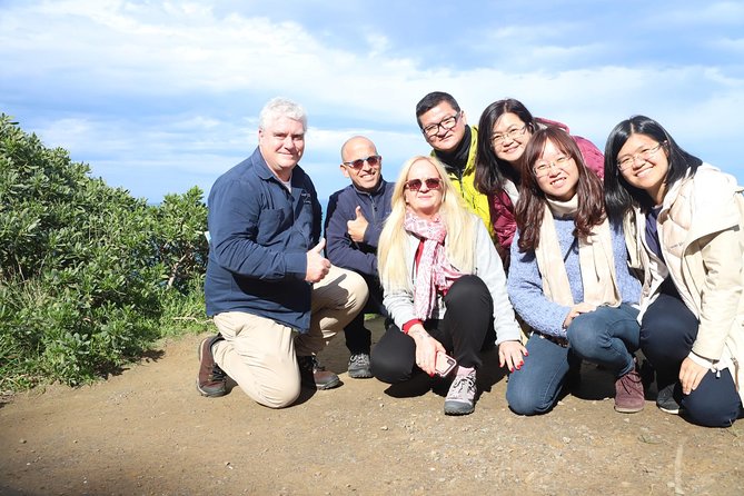 Boutique Great Ocean Road, wildlife and Rainforest Experience - Mait’s Rest in the Otways: the one-hour nature reset