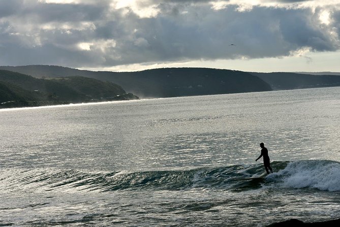 Boutique Great Ocean Road, wildlife and Rainforest Experience - Lunch in Apollo Bay plus the small comforts