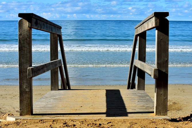 Boutique Great Ocean Road, wildlife and Rainforest Experience - Price and value: what you’re really paying for