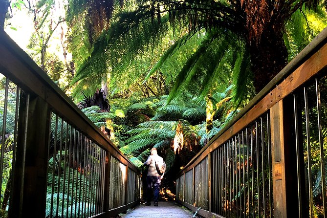 Boutique Great Ocean Road, wildlife and Rainforest Experience - Should you book this Great Ocean Road wildlife and rainforest tour?