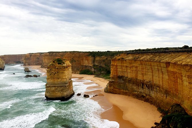 Boutique Great Ocean Road, wildlife and Rainforest Experience - Koalas and other wildlife stops (and whale season timing)