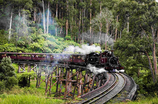 Brighton Bath Boxes & Puffing Billy & Penguin Parade 1-Day Tour - Puffing Billy Railway: The Vintage Steam Train Through the Dandenongs