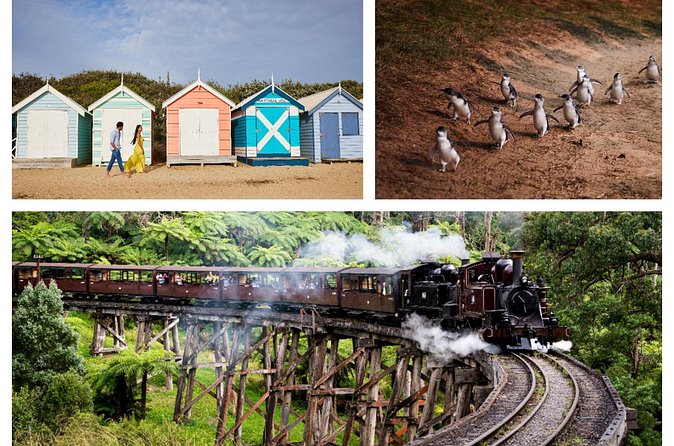 Brighton Bath Boxes & Puffing Billy & Penguin Parade 1-Day Tour - Price and Value at $91.81: What You’re Paying For (and What You’re Not)