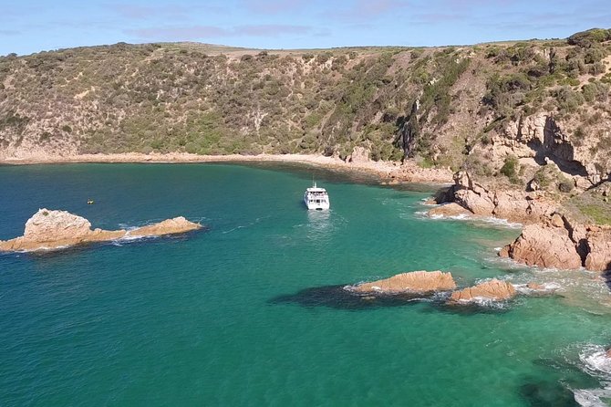 Cape Woolamai Sightseeing Cruise from San Remo - Cape Woolamai in an Hour: The Big Reason This Works