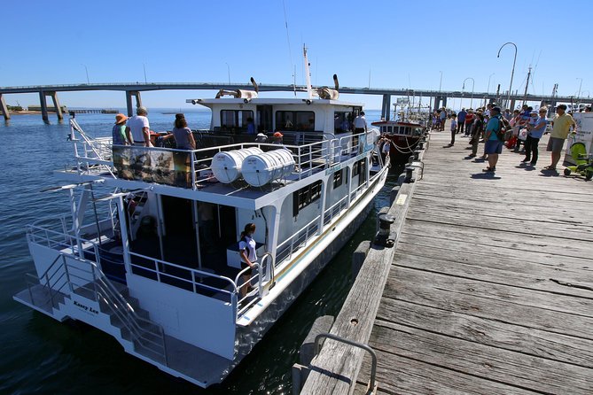 Cape Woolamai Sightseeing Cruise from San Remo - Sea Life Spotting: Seals, Seabirds, and the Chance of Dolphins