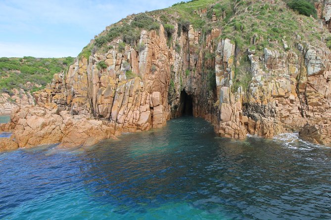 Cape Woolamai Sightseeing Cruise from San Remo - What the Captain Teaches You (and Why It’s Worth It)