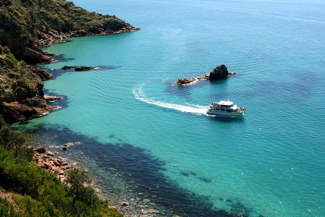 Cape Woolamai Sightseeing Cruise from San Remo - Snacks and the Kids Factor: Tea, Cake, and a Calm Pace