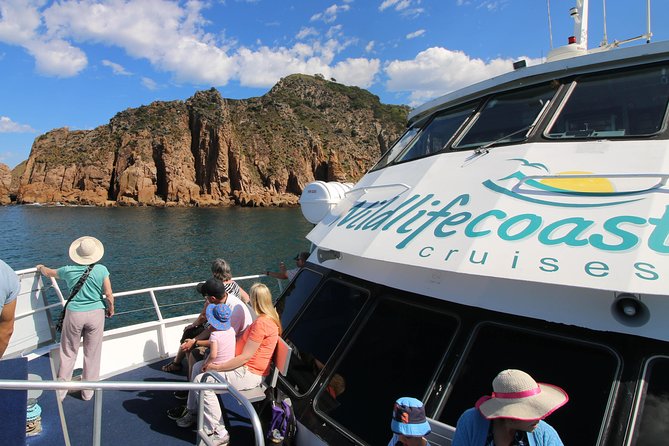 Cape Woolamai Sightseeing Cruise from San Remo - Boarding at San Remo Jetty: Getting There and Settling In