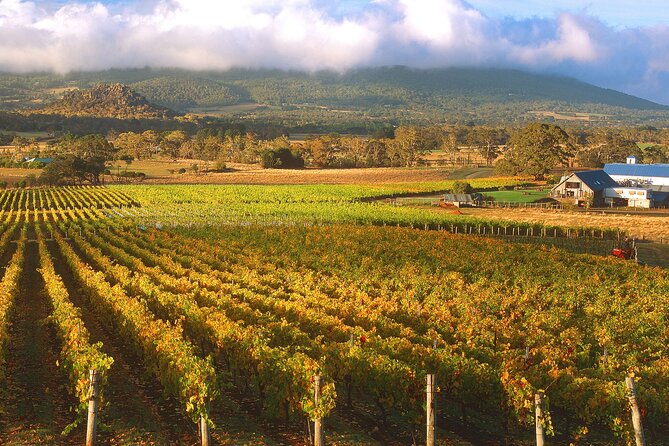 Champion Racehorse Tour with Beer and Wine Tasting - A Full-Day Racehorse + Tasting Day Trip From Melbourne