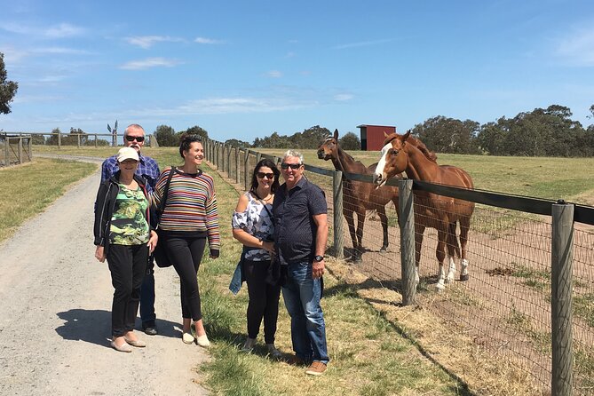 Champion Racehorse Tour with Beer and Wine Tasting - Holgate Brewery: Craft Beer Tasting in a Classic Pub Setting