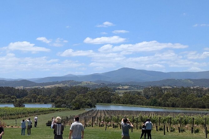 Cruise Ship Friendly Yarra Valley Wine Tour with Port Pickup - Key things I’d circle on your map