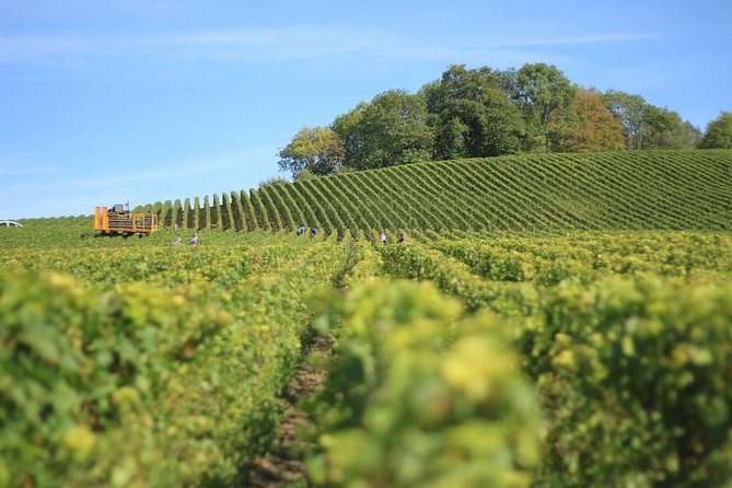 Customized private winery day tour in Yarra Valley at your own choices - Why This Private Yarra Valley Tour Works for Real Wine Days