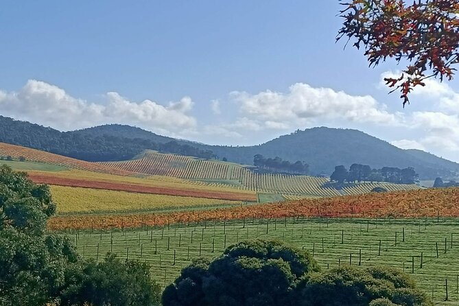 Customized private winery day tour in Yarra Valley at your own choices - Wine Fees and Lunch: Budgeting So You Don’t Get Surprised