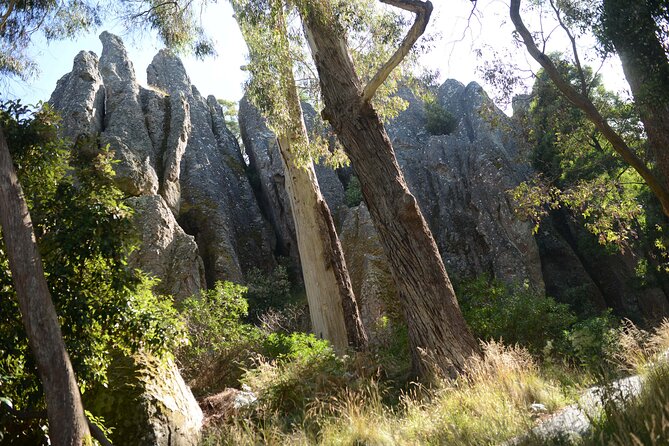 Daylesford Goldfields Track Walking and Wellness Experience - Why this Goldfields walking-and-wellness trip feels different