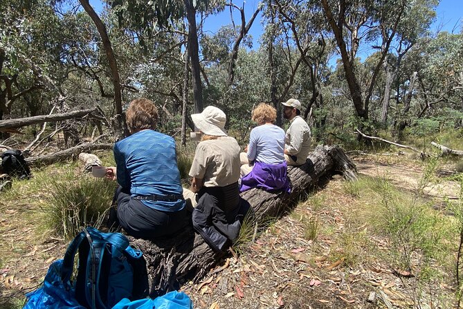 Daylesford Goldfields Track Walking and Wellness Experience - Day 4: Daylesford and the Convent Gallery—artisans after the last walk