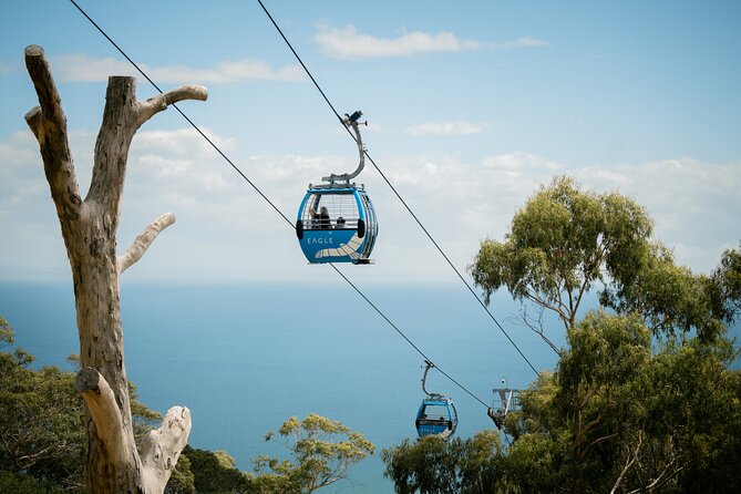 Depart Peninsula: Mornington Wine & Hot Springs Tour with Lunch - What makes this tour worth your time