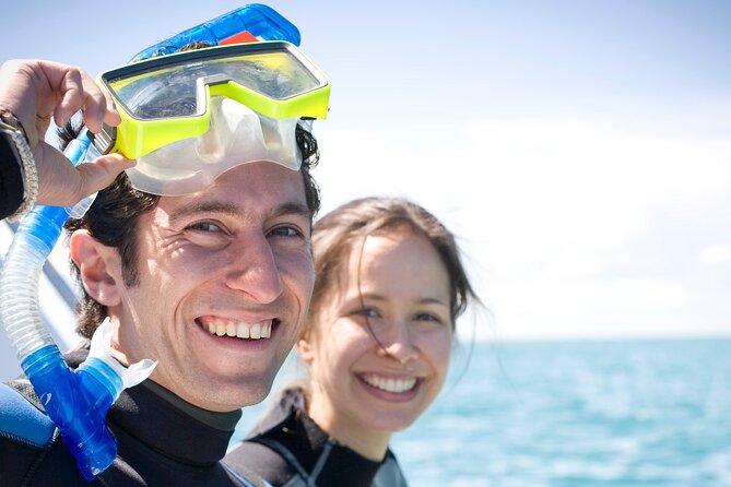 Dolphin and Seal snorkel adventure from Sorrento - Success Rates, Weather, and the Free Return Plan