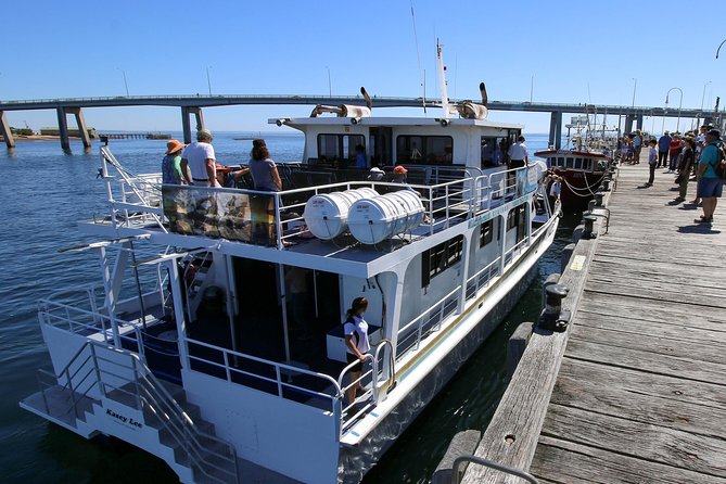 Dolphin & Whale Cruise - Boarding at San Remo Jetty: your starting point and the feel of the day