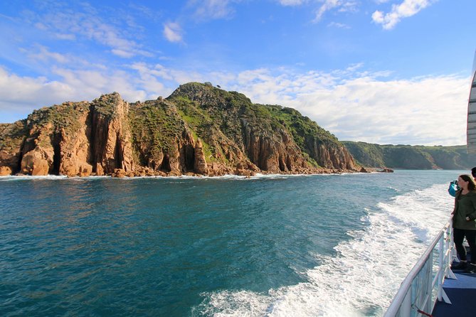 Dolphin & Whale Cruise - Handling choppy conditions: my practical take on seasickness and timing