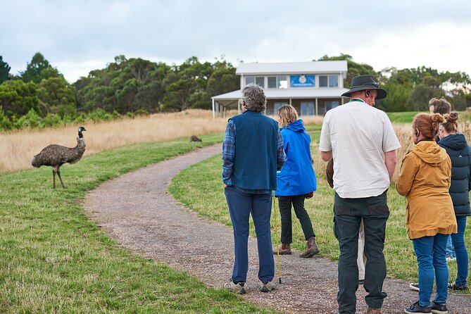 Dusk Discovery Tour - Key highlights you’ll feel during the 90 minutes
