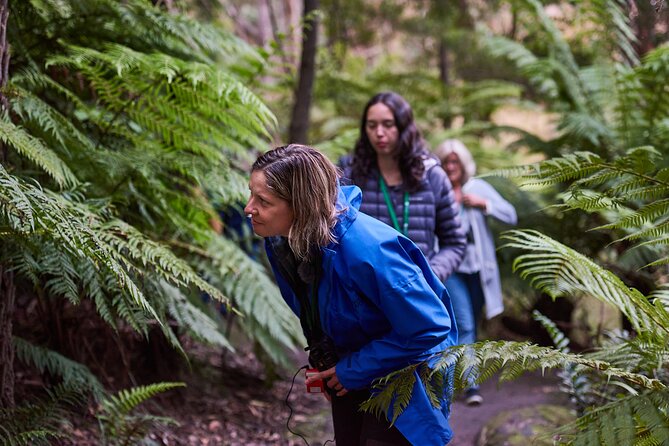 Dusk Discovery Tour - The conservation angle: why 100% of profits matters