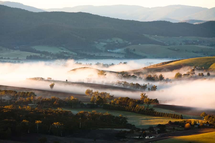 Experience Yarra Valley: A Tailored private Wine Journey - Key things that make this private Yarra Valley day work